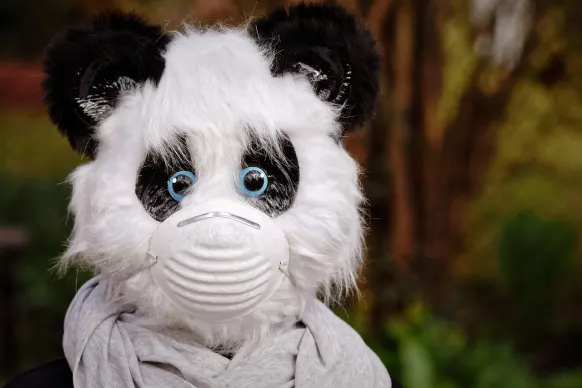 BitReels Cazino Cazinou Suport